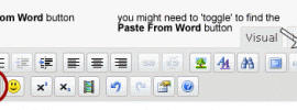 WordPress Paste from word
