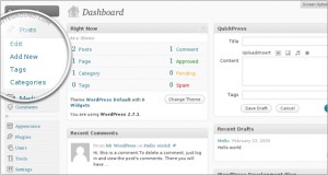 Add New WordPress Post