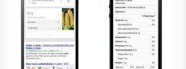 Google Adds Nutritional Information To Their Search Engine Results